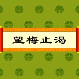 幼小衔接 成语故事动画160个